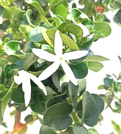 度假居 Sud Sicily 圣玛丽亚德尔法加洛